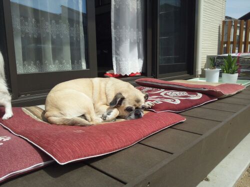 rblog-20140412193915-01.jpg