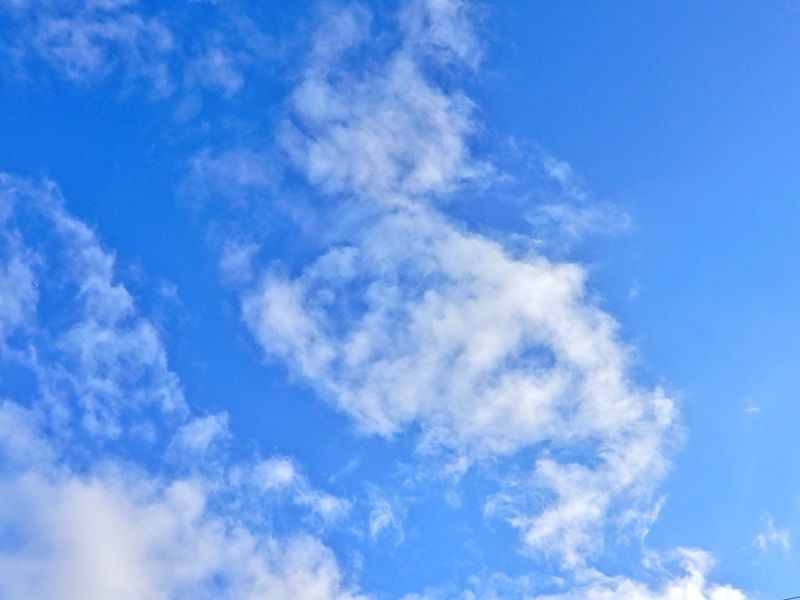 空6