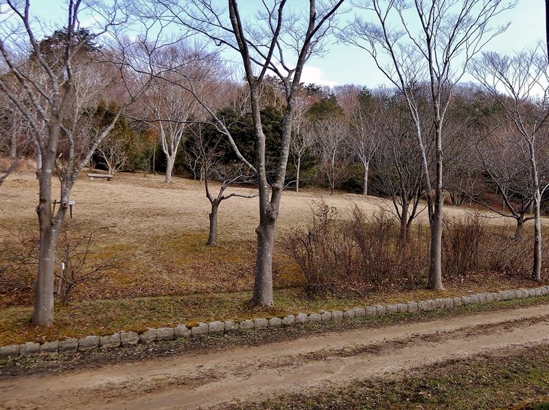 香りの丘2