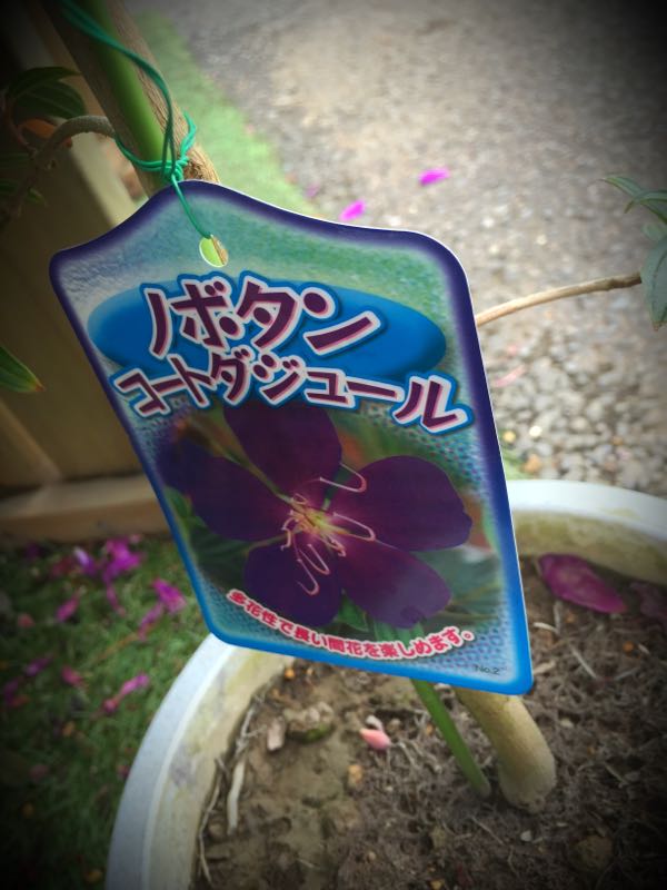 rblog-20160911152312-09.jpg