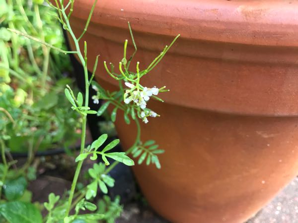 rblog-20190401163710-01.jpg