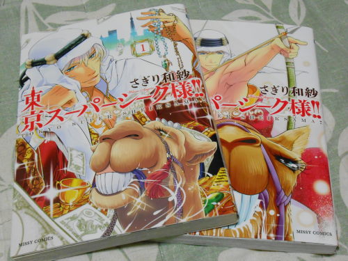 DSCN0815.JPG