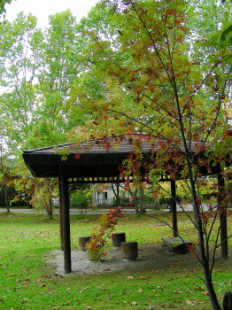 2017-09-27mori4 (1).JPG