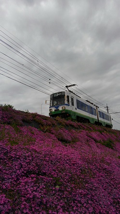 1494051532745.jpg