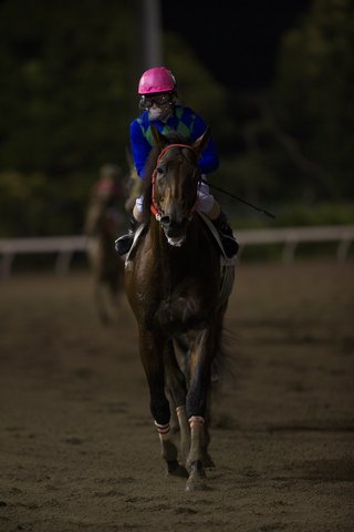レース後