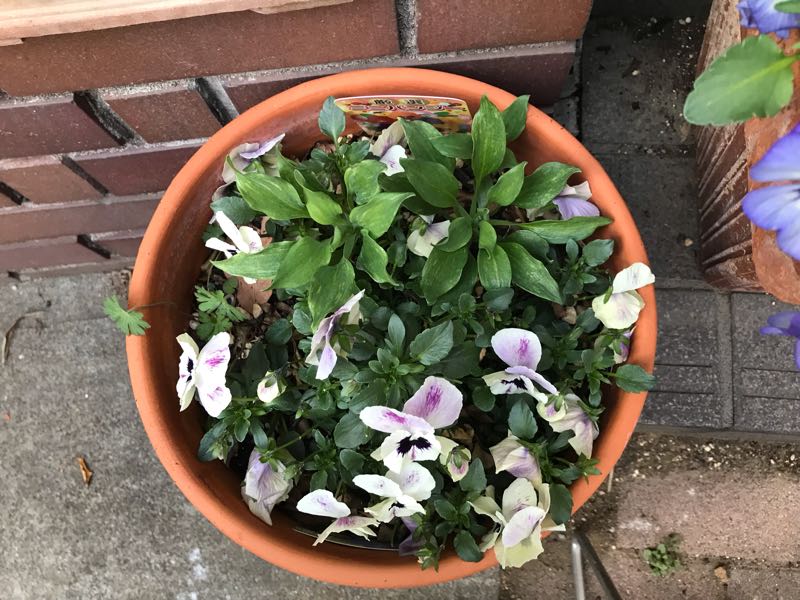rblog-20190324174901-04.jpg