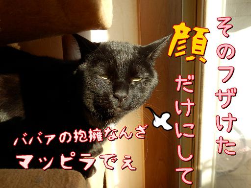 まっぴら.JPG