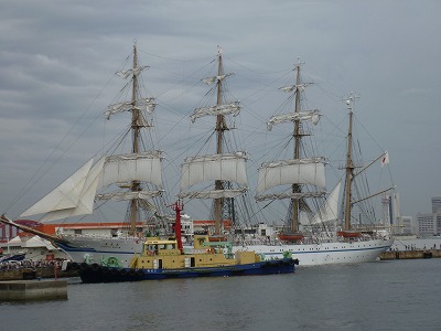 P1050332.jpg