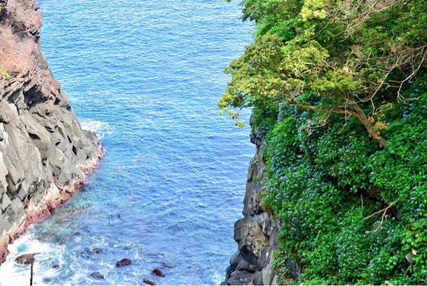 城ヶ崎海岸 門脇吊り橋 かんのんの浜 ポットホール いがいが根 ぱるちゃんのブログ 旅人をお迎えしたり旅人だったり 楽天ブログ