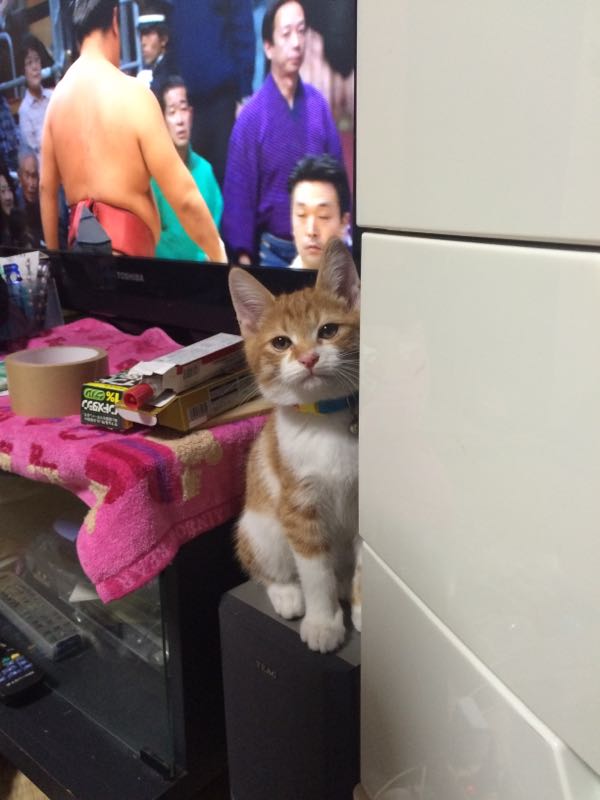 rblog-20151115212213-01.jpg