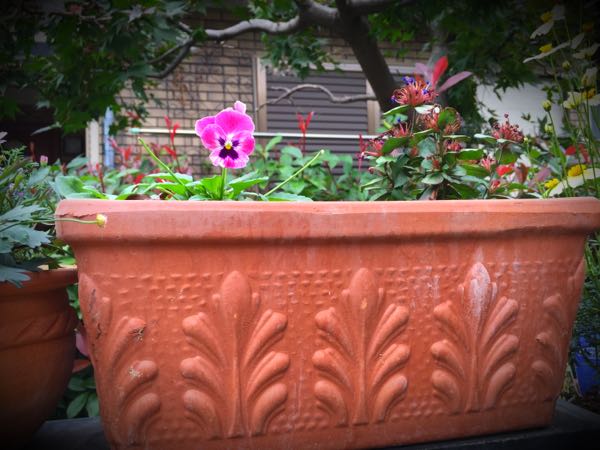 rblog-20151029145601-02.jpg