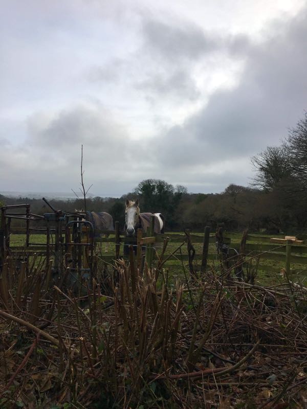 rblog-20190112204257-01.jpg