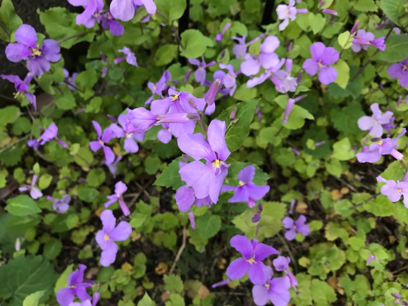 rblog-20190324174901-00.jpg
