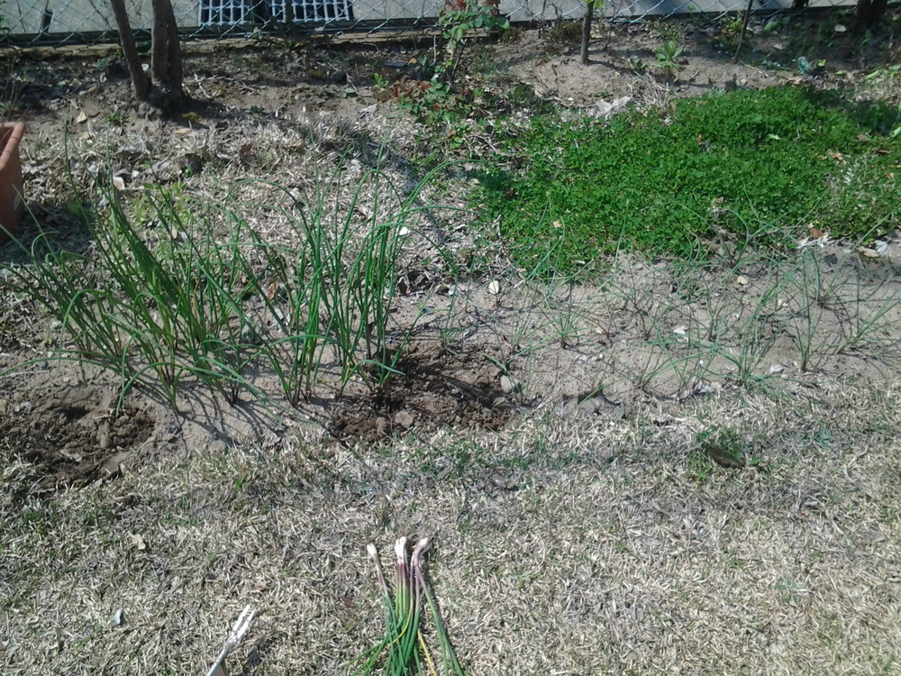 20150429_094143.jpg