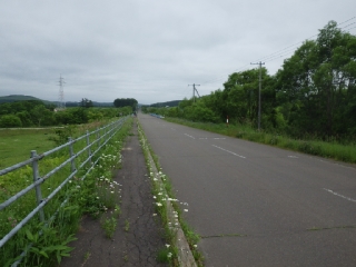 平野