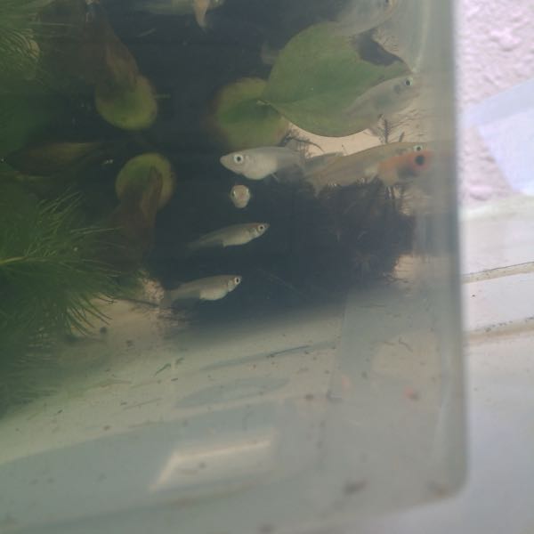 rblog-20150916084419-03.jpg