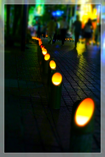 竹灯り.jpg