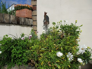 IMG_8837ss.jpg