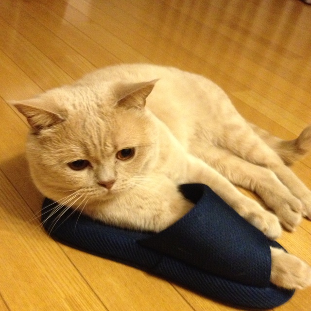 rblog-20130511193739-01.jpg