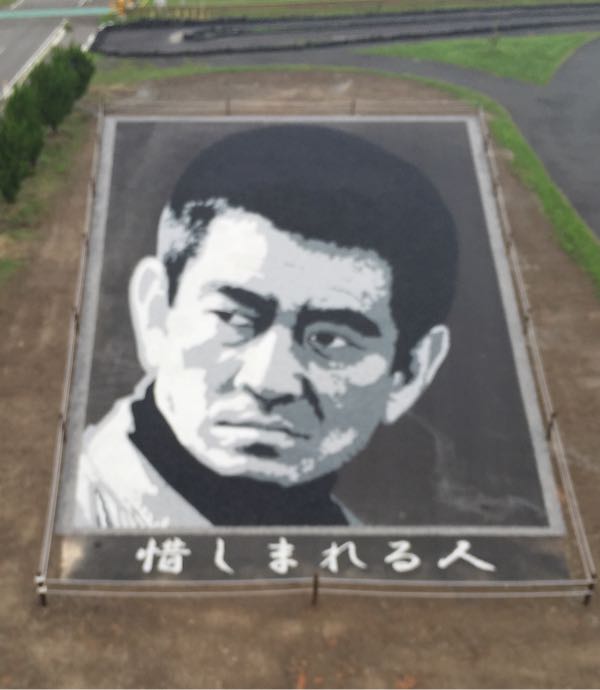 rblog-20150725222748-05.jpg
