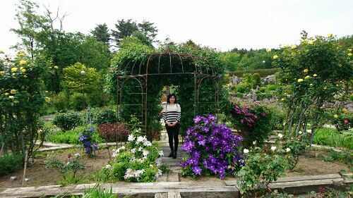 rblog-20160522090231-00.jpg