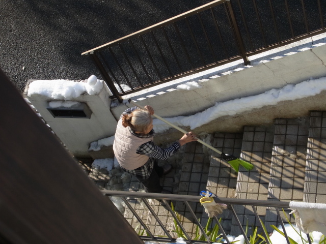 R0017417.JPG