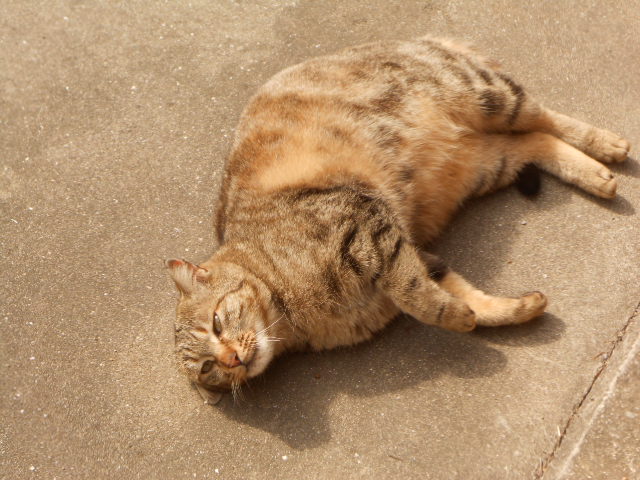 DSCN0977.JPG