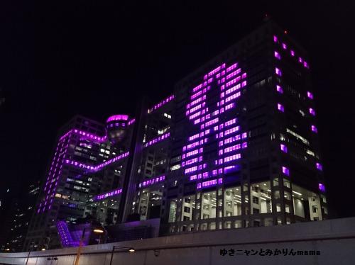DSC_0015.jpg