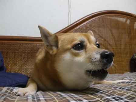 ちろ３