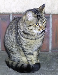 5DA_0262-21.jpg