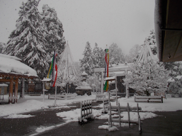 DSCN6229.jpg