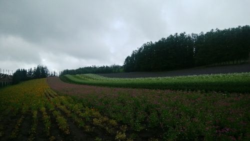 rblog-20180714075741-00.jpg