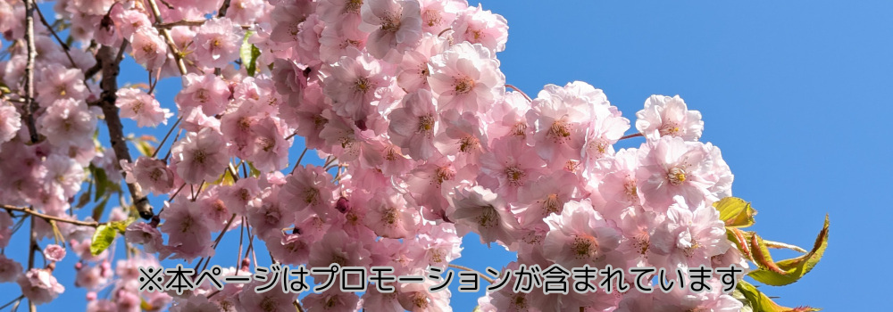 北海道レアものグルメ探検隊