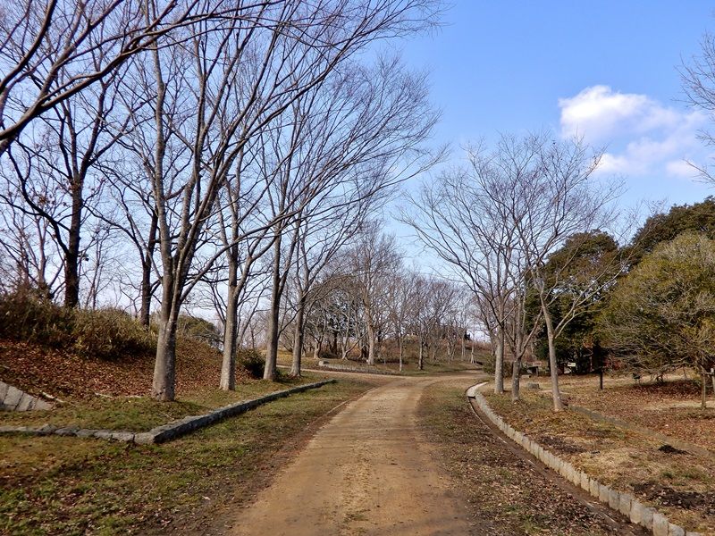 香りの丘3
