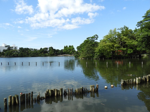 洗足池にて