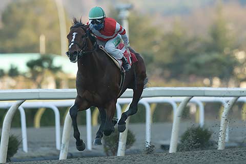 トレッドミル導入 盛岡 飯田弘道厩舎レポートです 地方競馬の楽天競馬 日替わりライターブログ 楽天ブログ