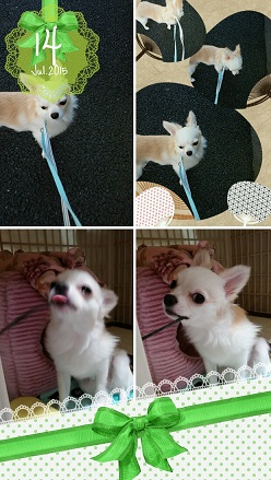 気晴らし系