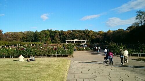 rblog-20171113175554-05.jpg