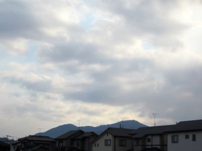 IMG_7893.JPG