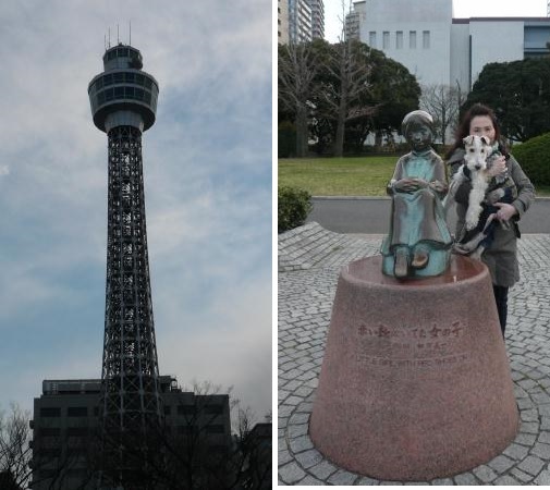横浜３