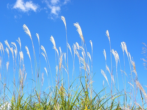 13-10-13　馬頭町