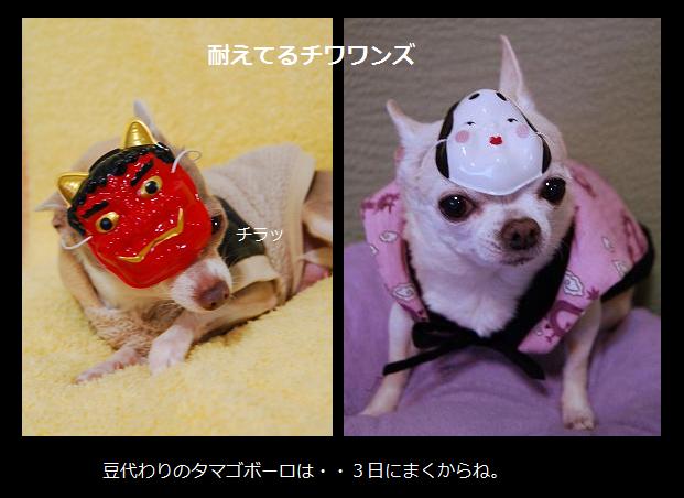 チワワンズの節分