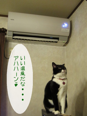 20130208102522_w_300_h_400_5359440.jpg