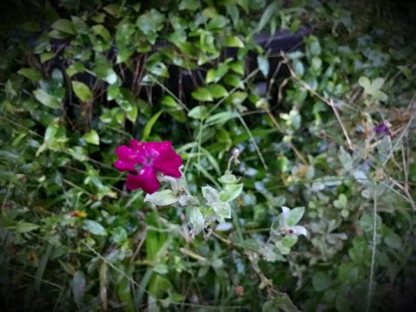 rblog-20160924181813-01.jpg