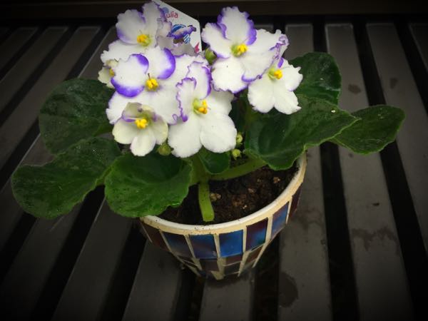 rblog-20160530181544-01.jpg