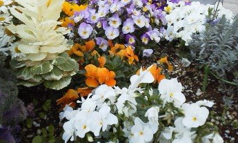 160321_1501~01.jpg