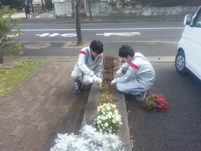 出張植え込み２