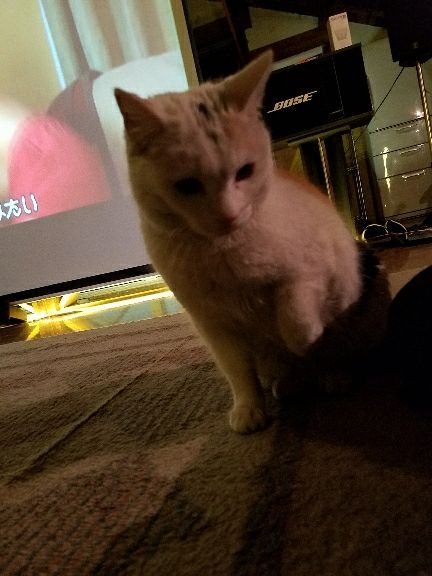 rblog-20180408095343-00.jpg