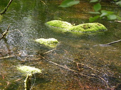 DSCN6256.jpg