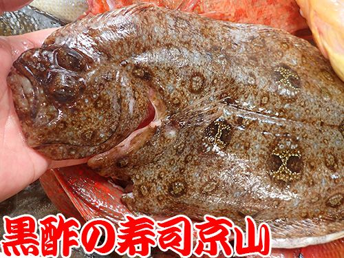寿司　出前　新宿区　細工町